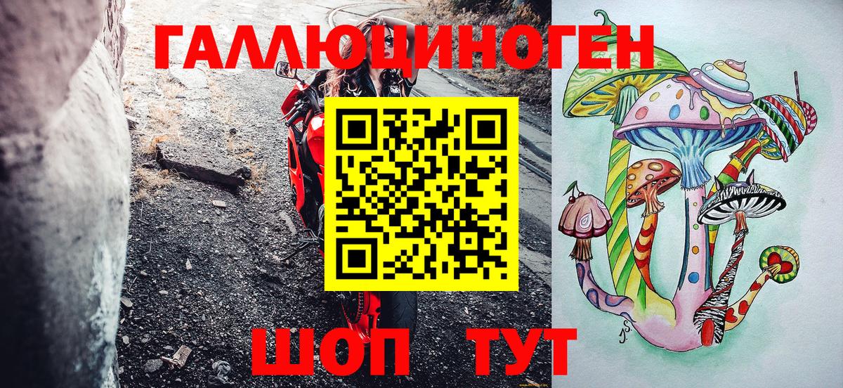 Галлюциногенные грибы GOLDEN TEACHER Шебекино