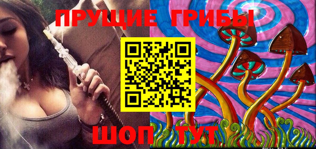 Шебекино  Псилоцибиновые грибы Cubensis  Вход с VPN 